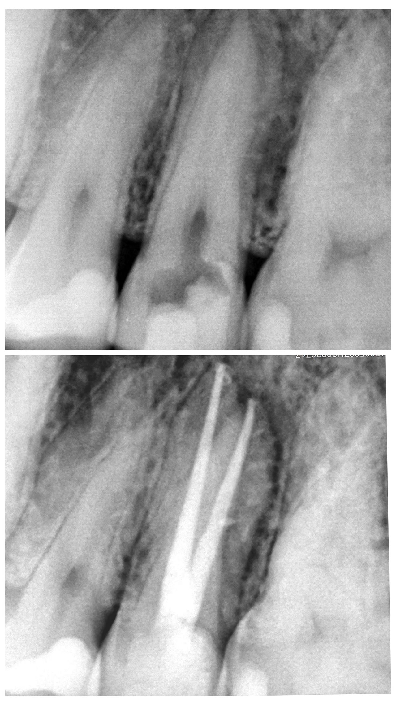 Damian Benbenkowski-7