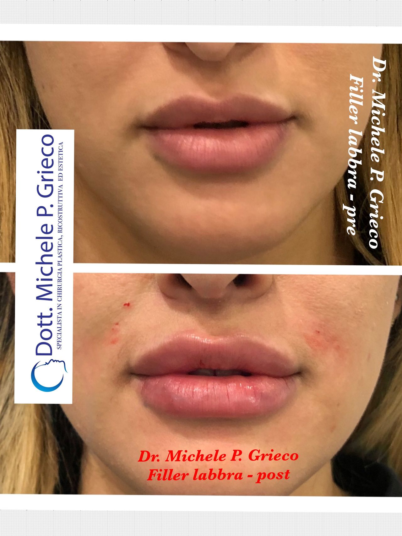 Michele P. Grieco-13