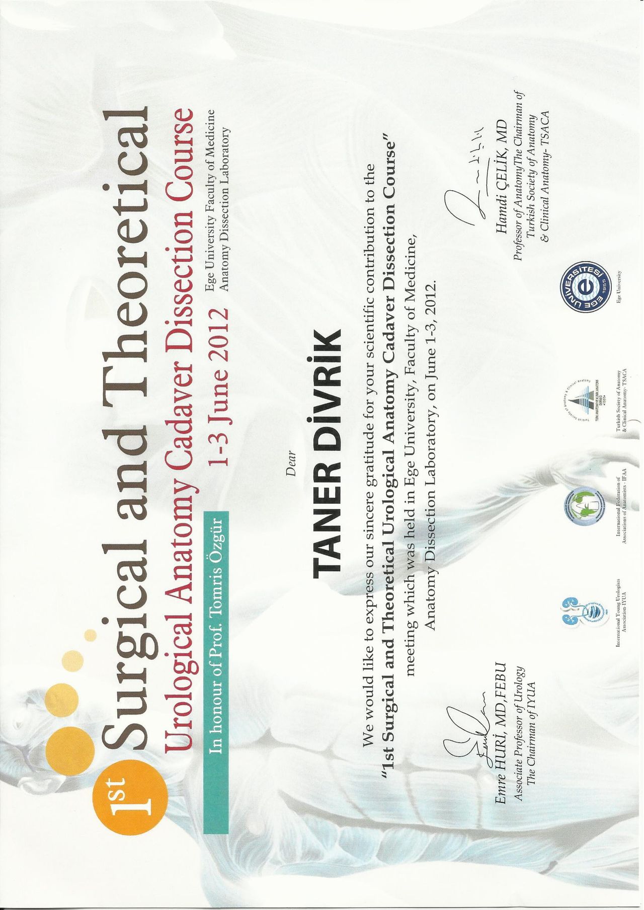 Rauf Taner Divrik-41