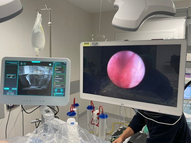 Miguel Angel Rodríguez Cabello-7