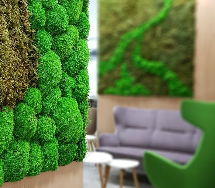 Beata Jołda-Mydłowska-0