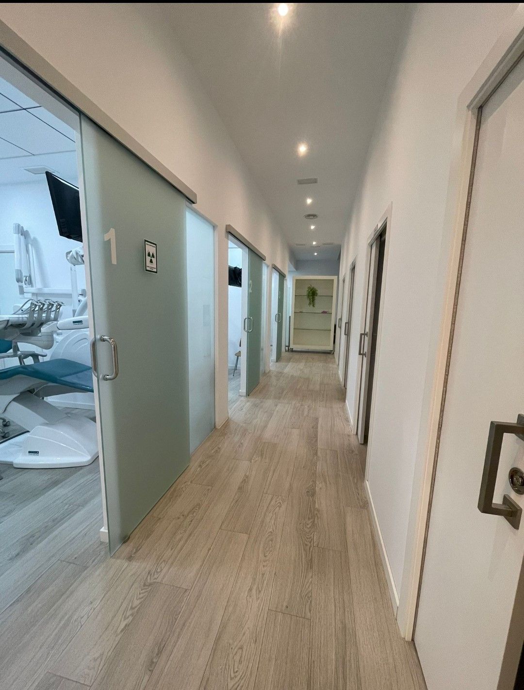 Katherine Nicolicchia-3