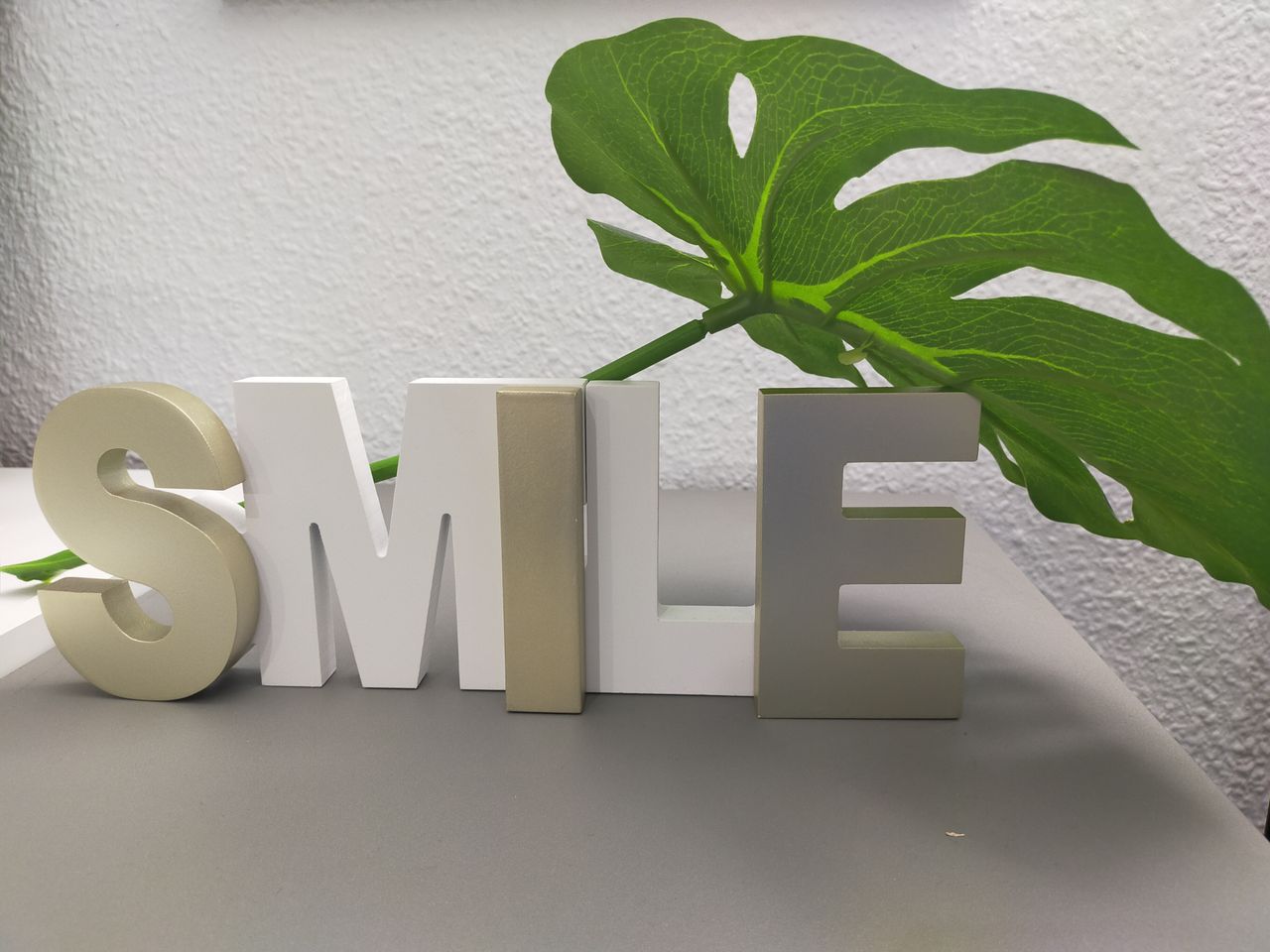 Ana Piñar Salinas-8