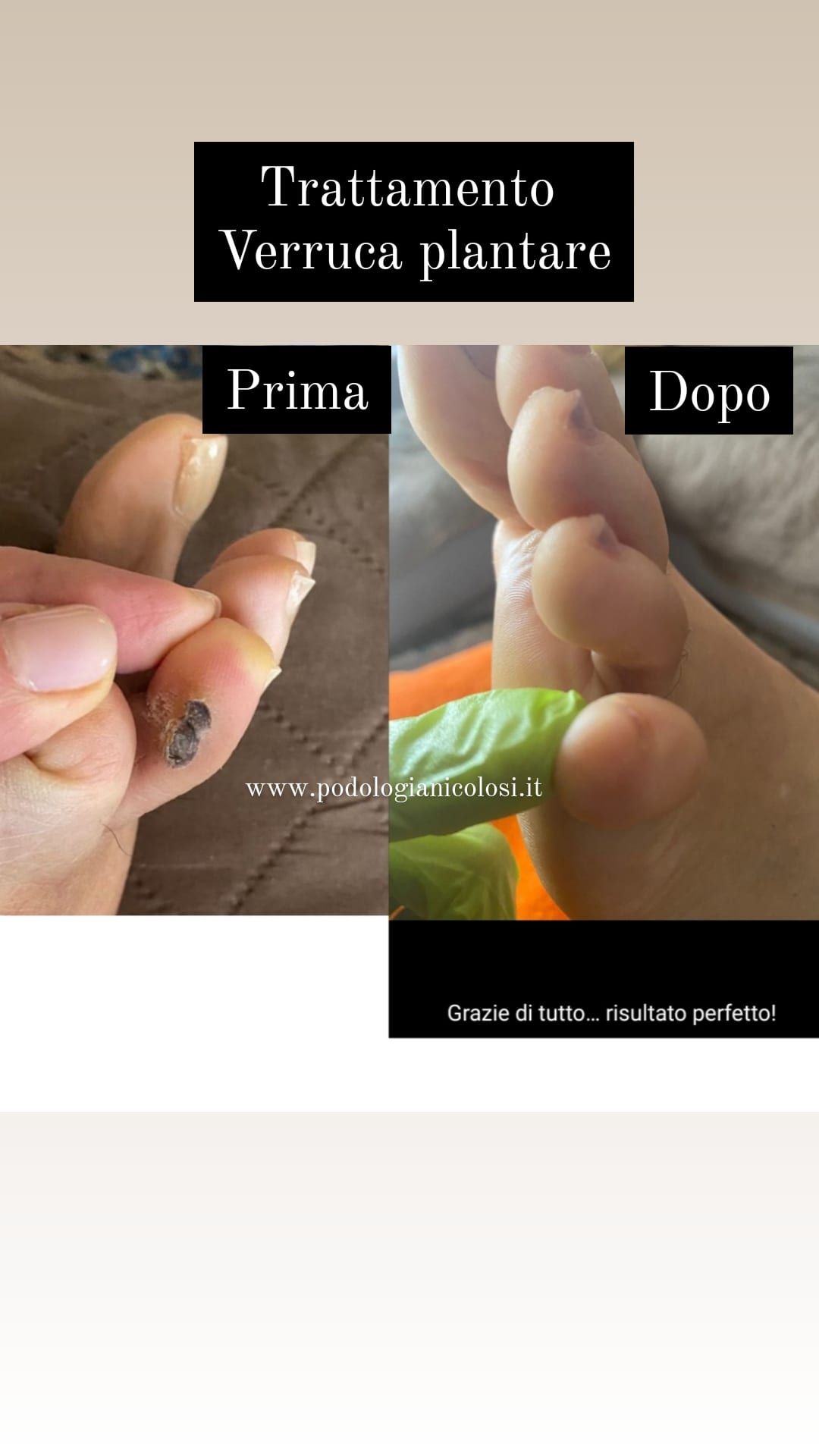 Kassandra Nicolosi-304