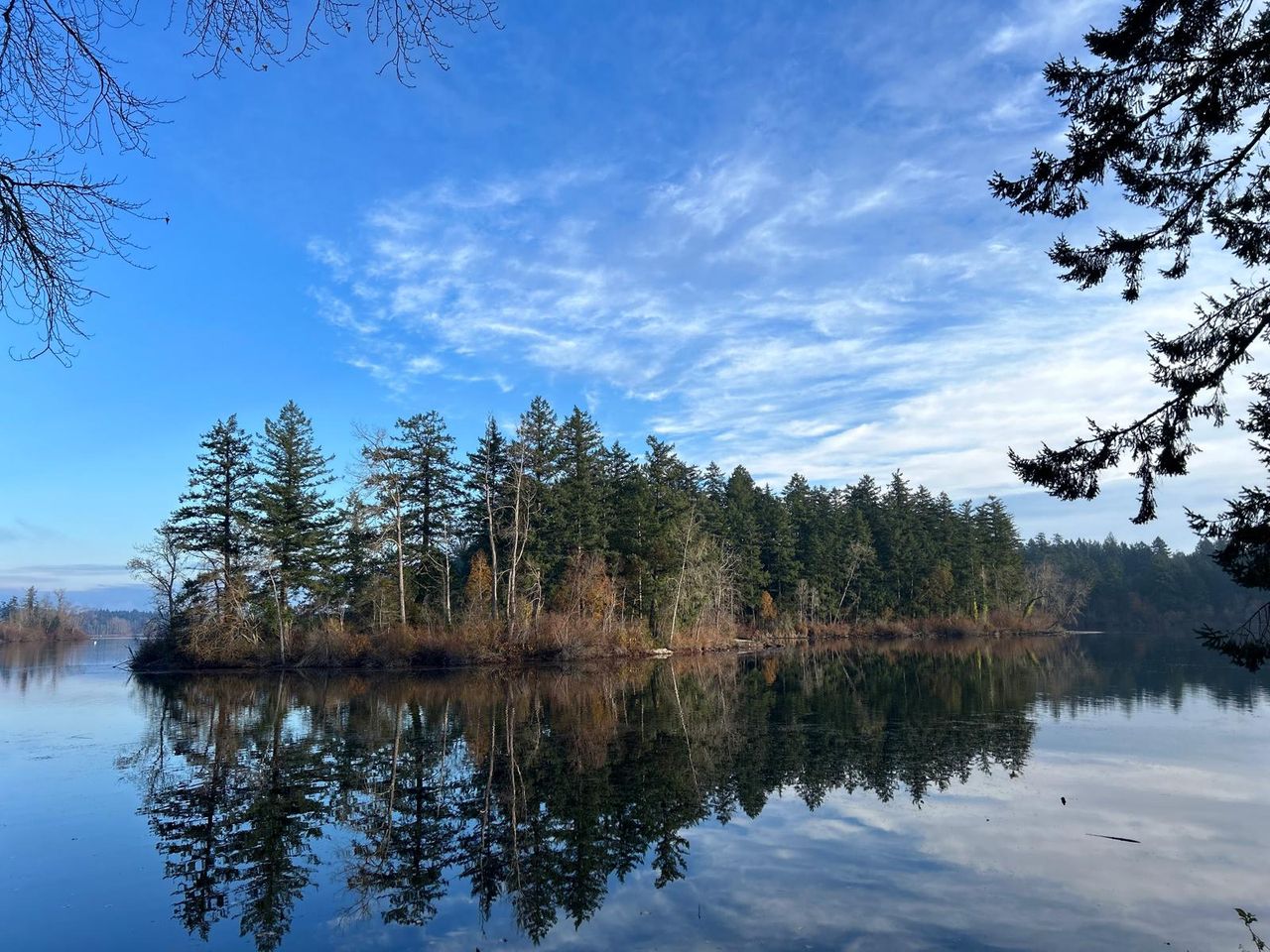 Angela Roig Hidalgo-2