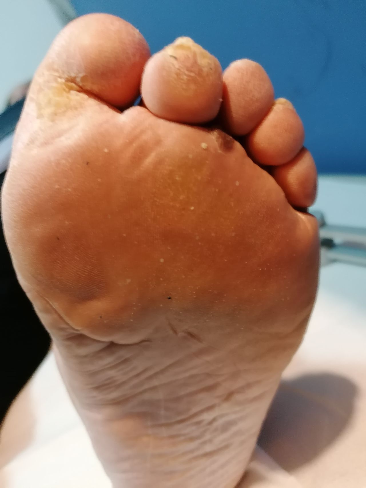 Kassandra Nicolosi-41