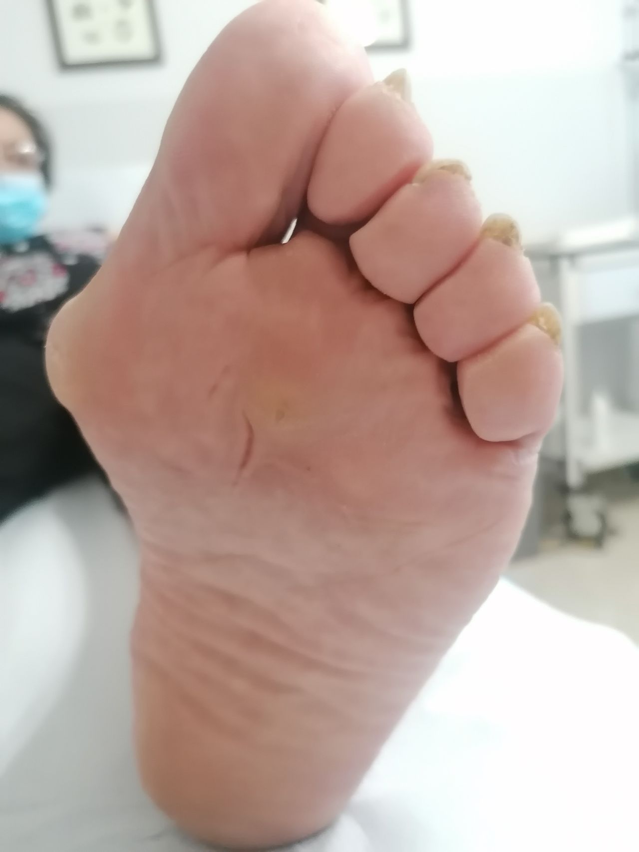 Kassandra Nicolosi-197