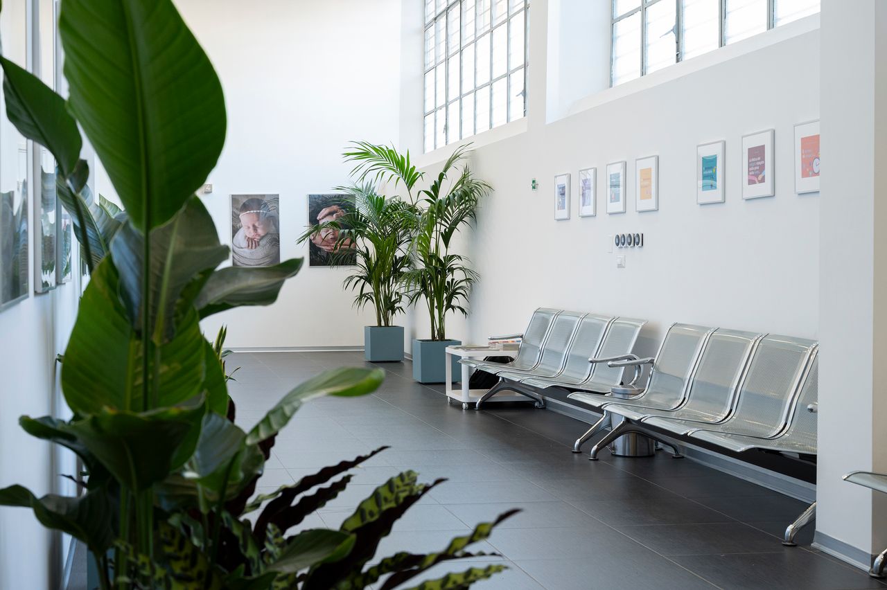 Vito Salvatore Zurzolo-3