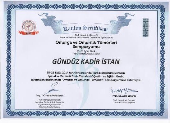 Gündüz Kadir İstan-6