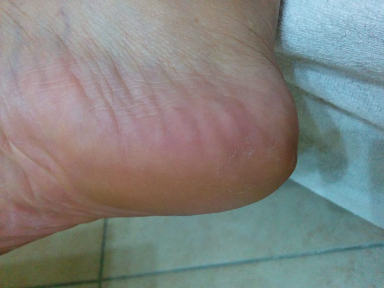 Kassandra Nicolosi-85