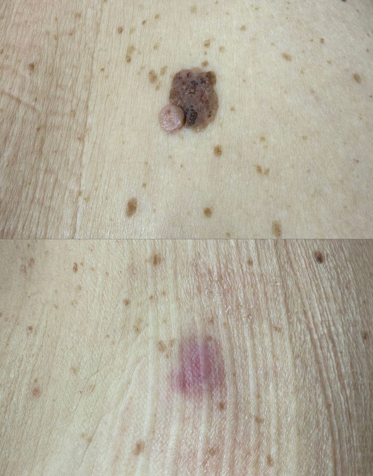 Enrico Giorgio Morales Tedone-4