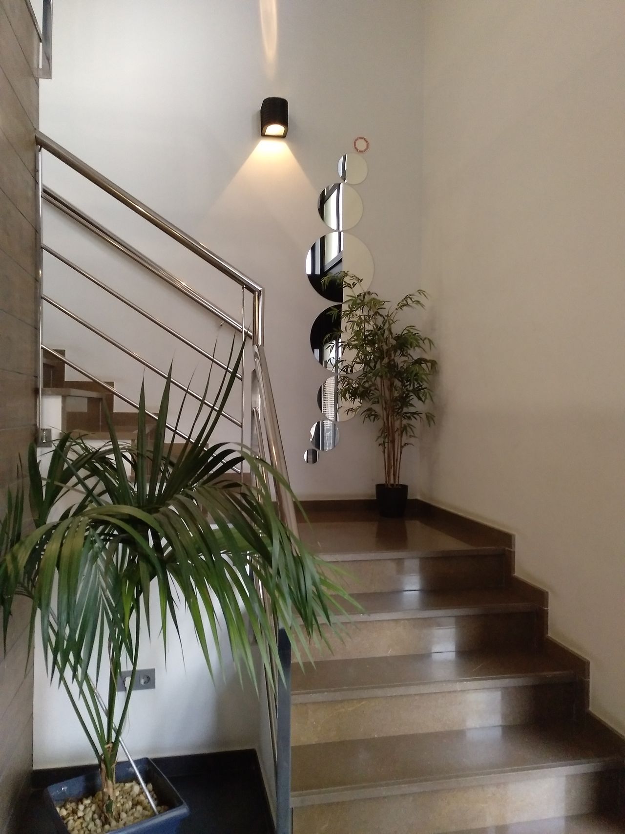 Alberto Ferradás Fuentes-0