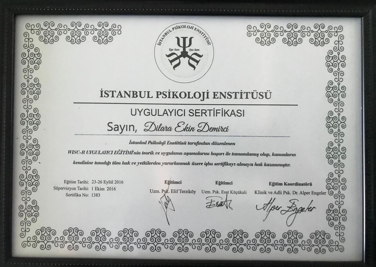 Dilara Ekin Demirci-17