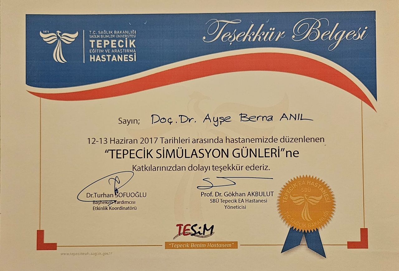 Ayşe Berna Anıl-14