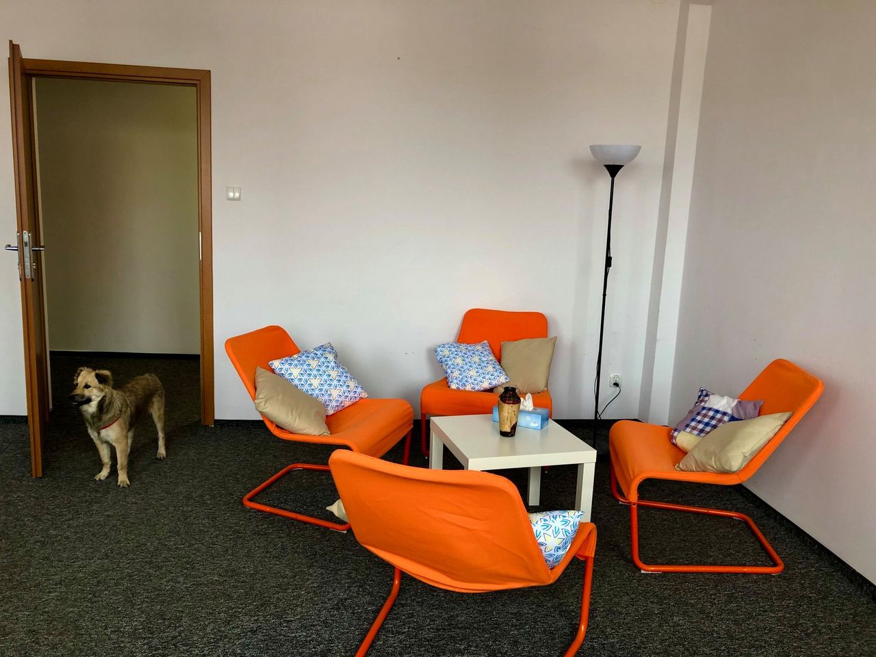 Katarzyna B. Głowacka-1