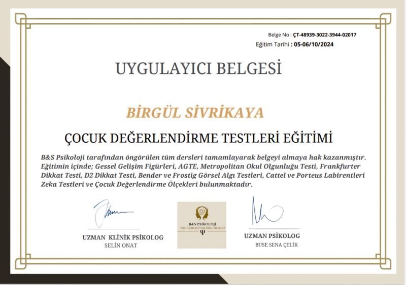 Birgül Sivrikaya-9