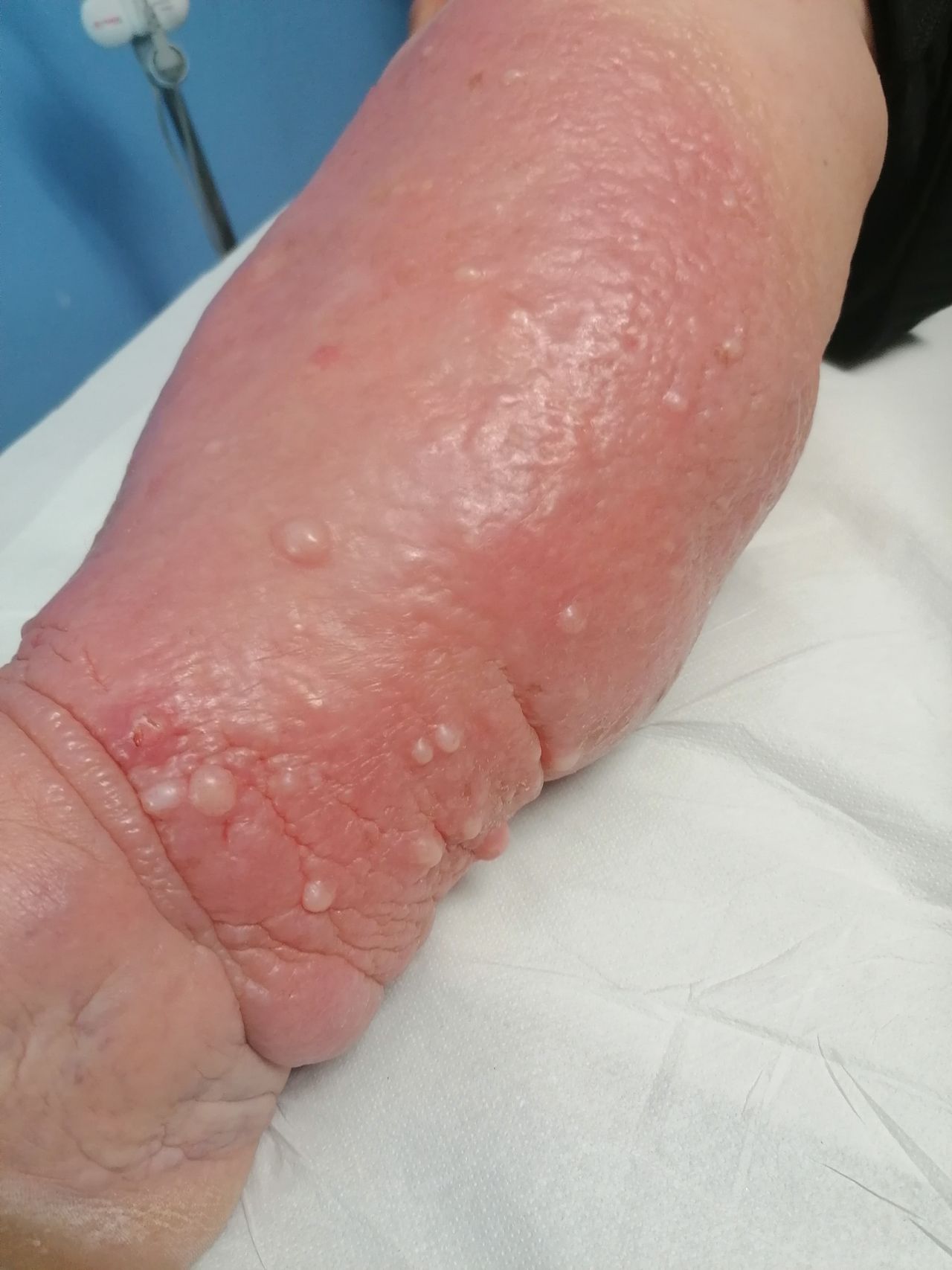 Kassandra Nicolosi-142