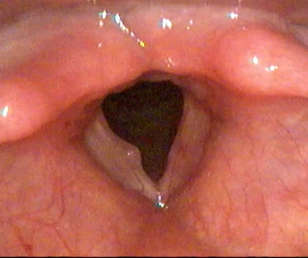 Jose Francisco Delgado Alvarez-1