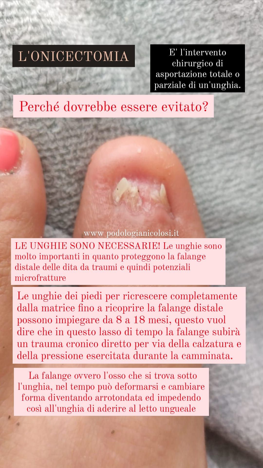 Kassandra Nicolosi-319