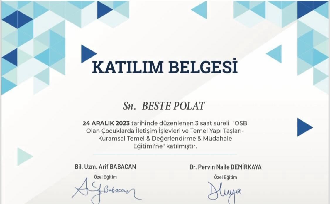 Beste Polat-5