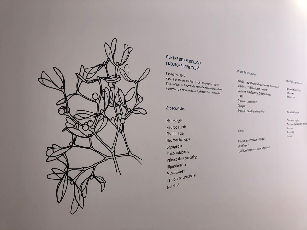 Maria Angeles Bayes Rusinol-8