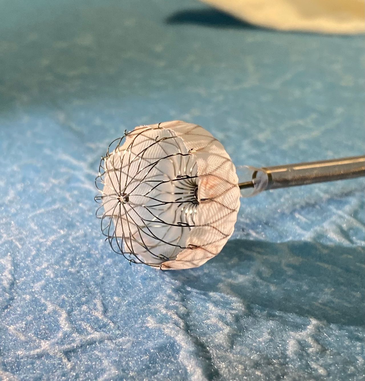 Francesco Maria Cogliani-3