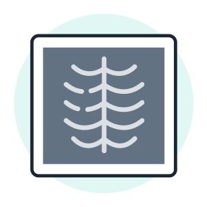 Radiologia Rx - Tac - Opt - Moc-0