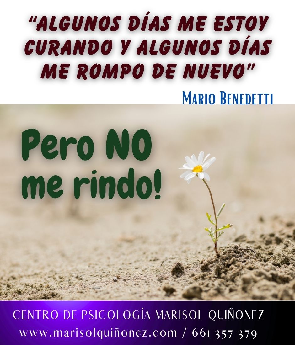 Marisol Quiñonez Quintero-119