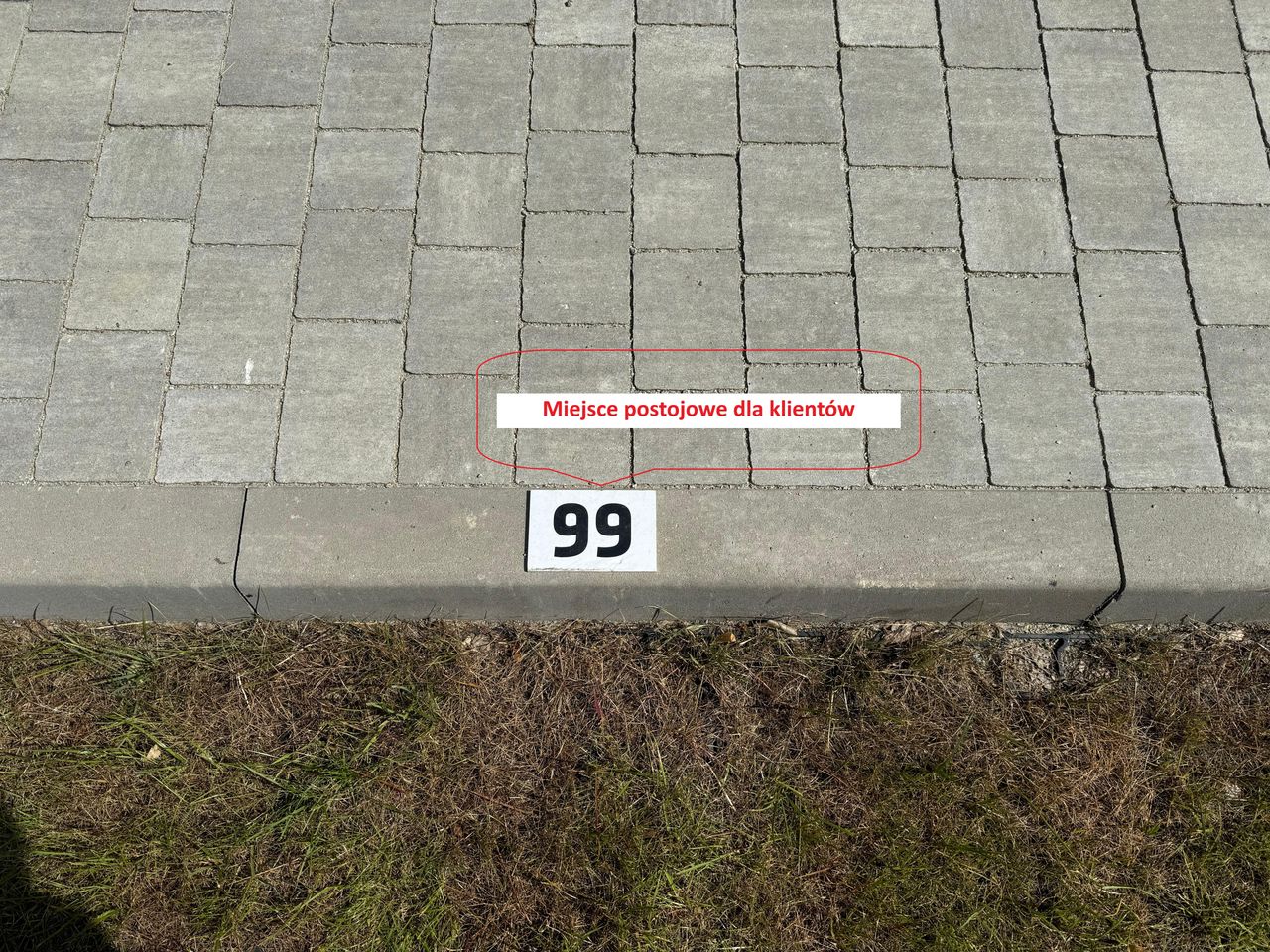 Justyna Urbanowicz-11