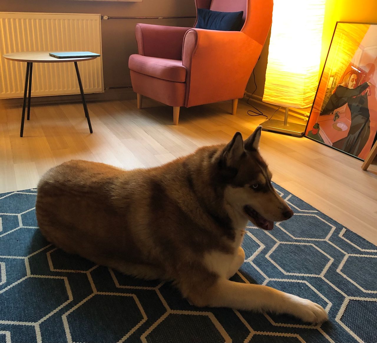 Ewelina Lewandowska-2