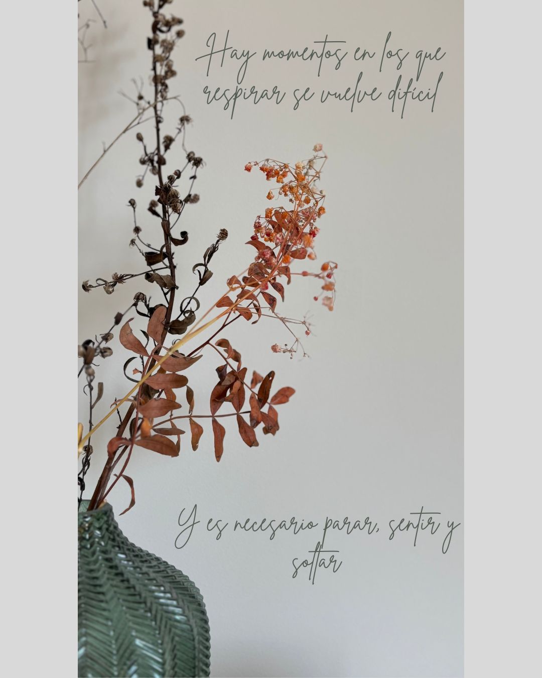 Carolina Martín Franco-0