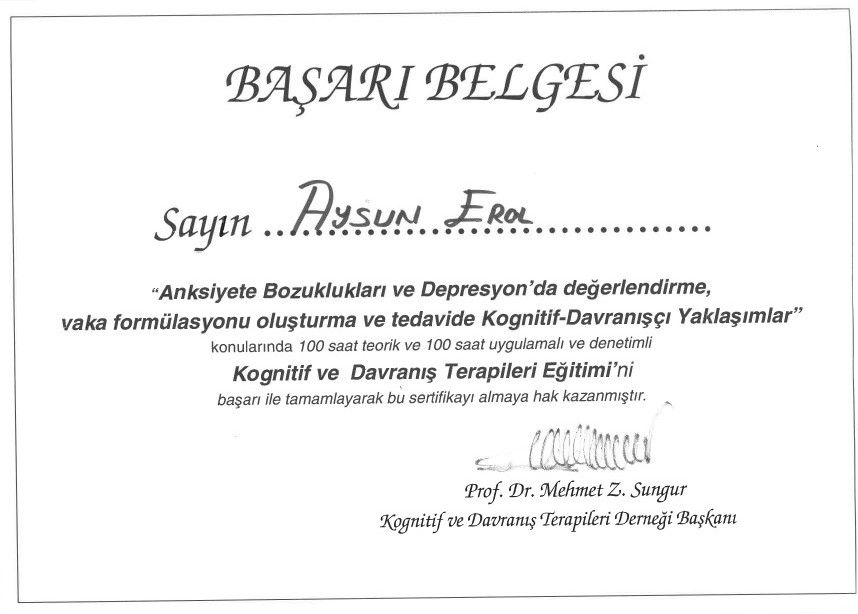 Aysun Erol-5