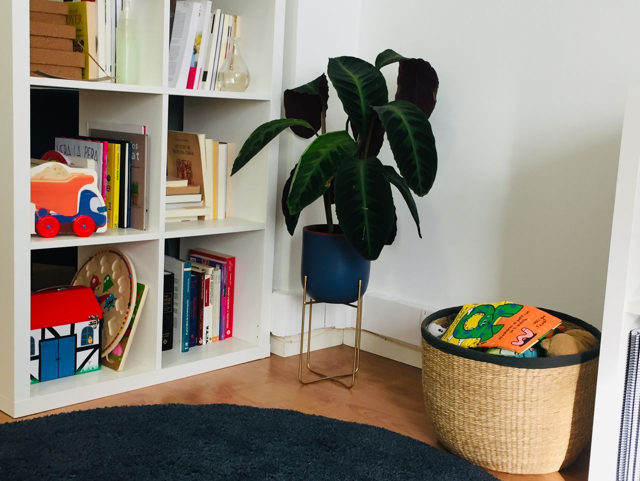 Ainhoa Goenaga Alzuri-11