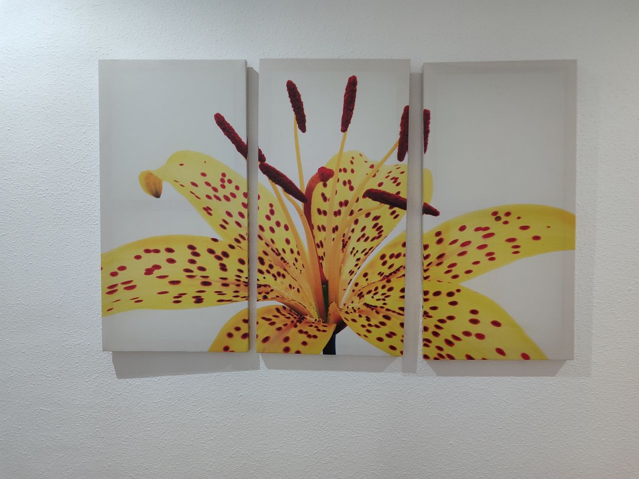 Sonia Chinchilla Díaz-6