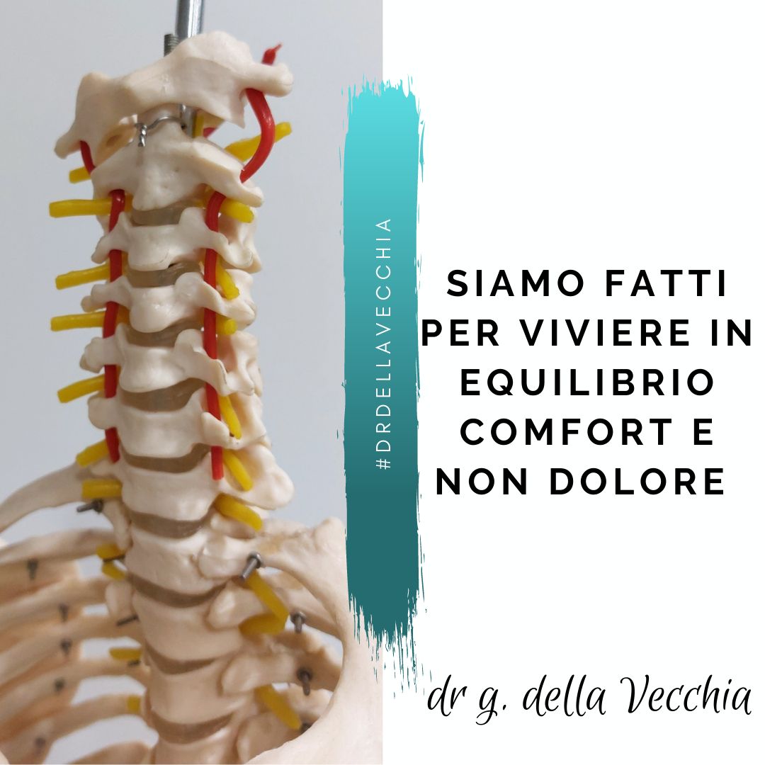 Giuseppe Della Vecchia-10