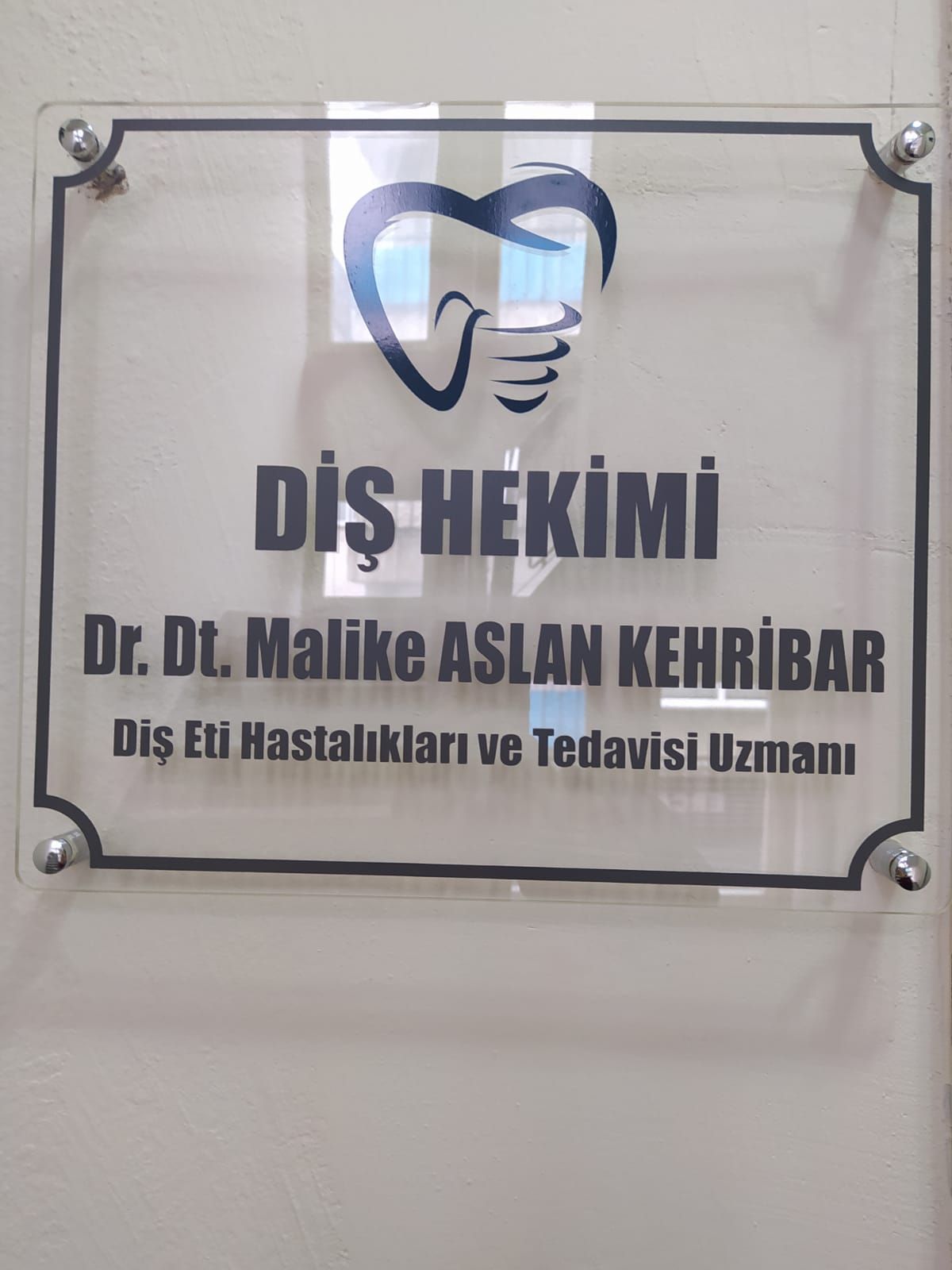 Malike Aslan Kehribar-1