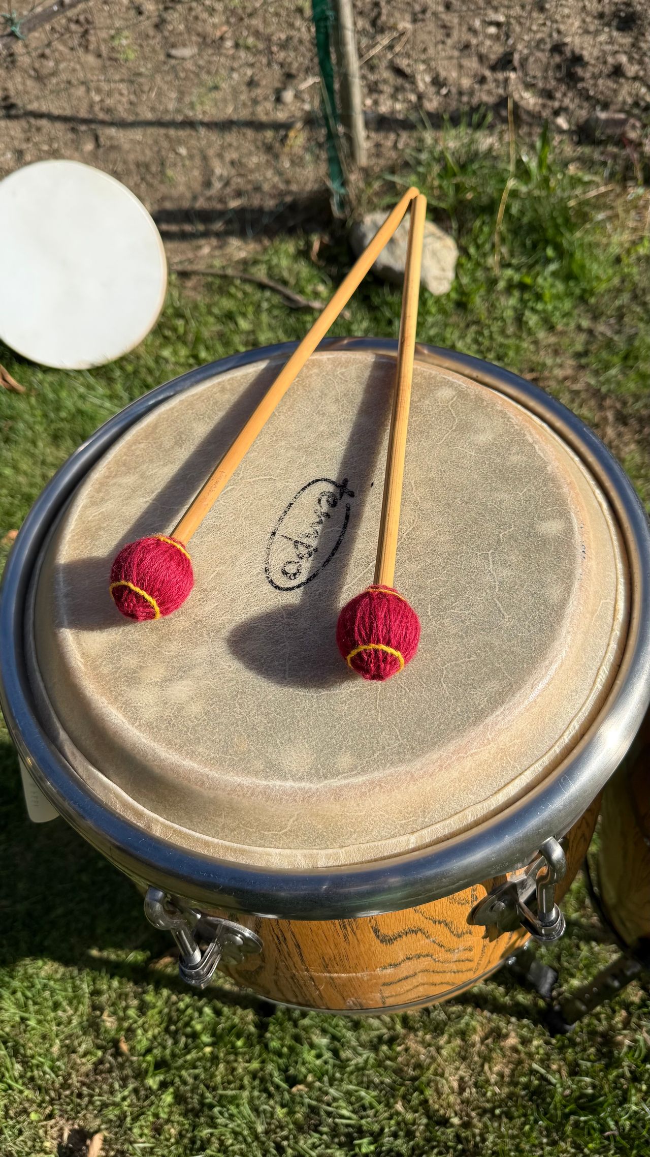 Maurizio Di Benedetto-22