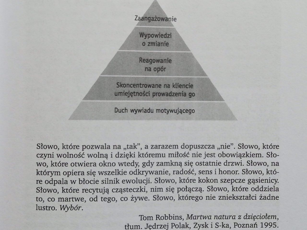 Łukasz Krzysztoń-0