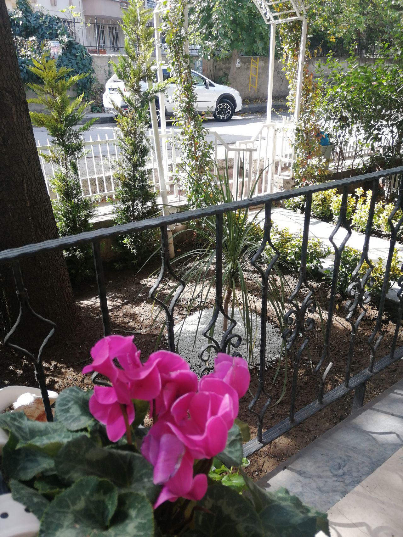 Şule Lütfiye Kıvrak-12