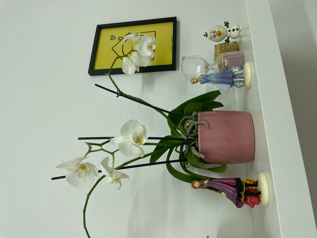 Valentina Bussani-60