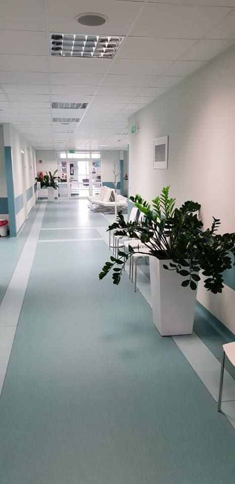 Magdalena Romanowska-7