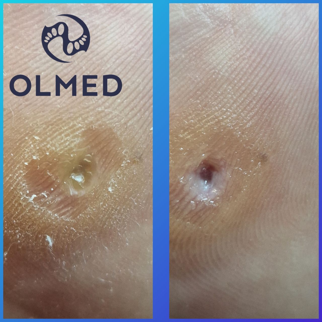 Aleksandra  Górecka -7