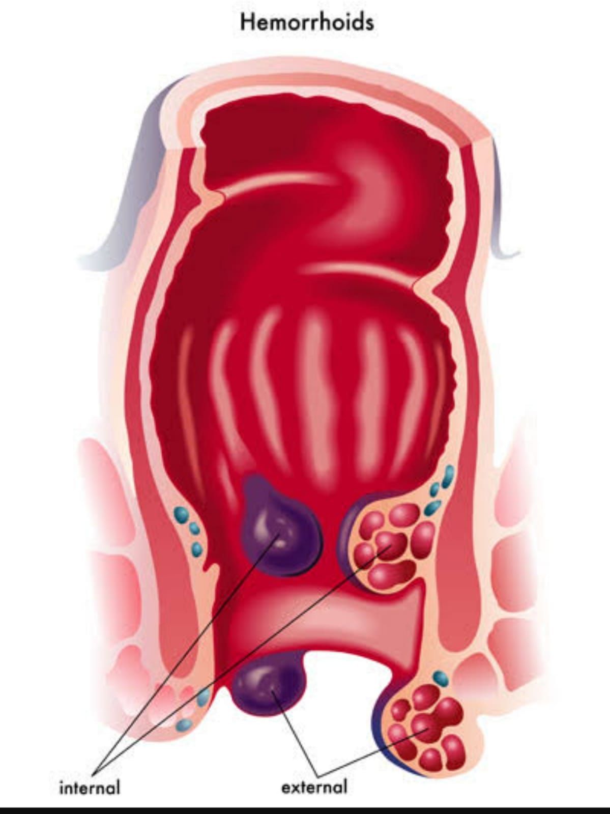 Süleyman Deniz Kahraman-0