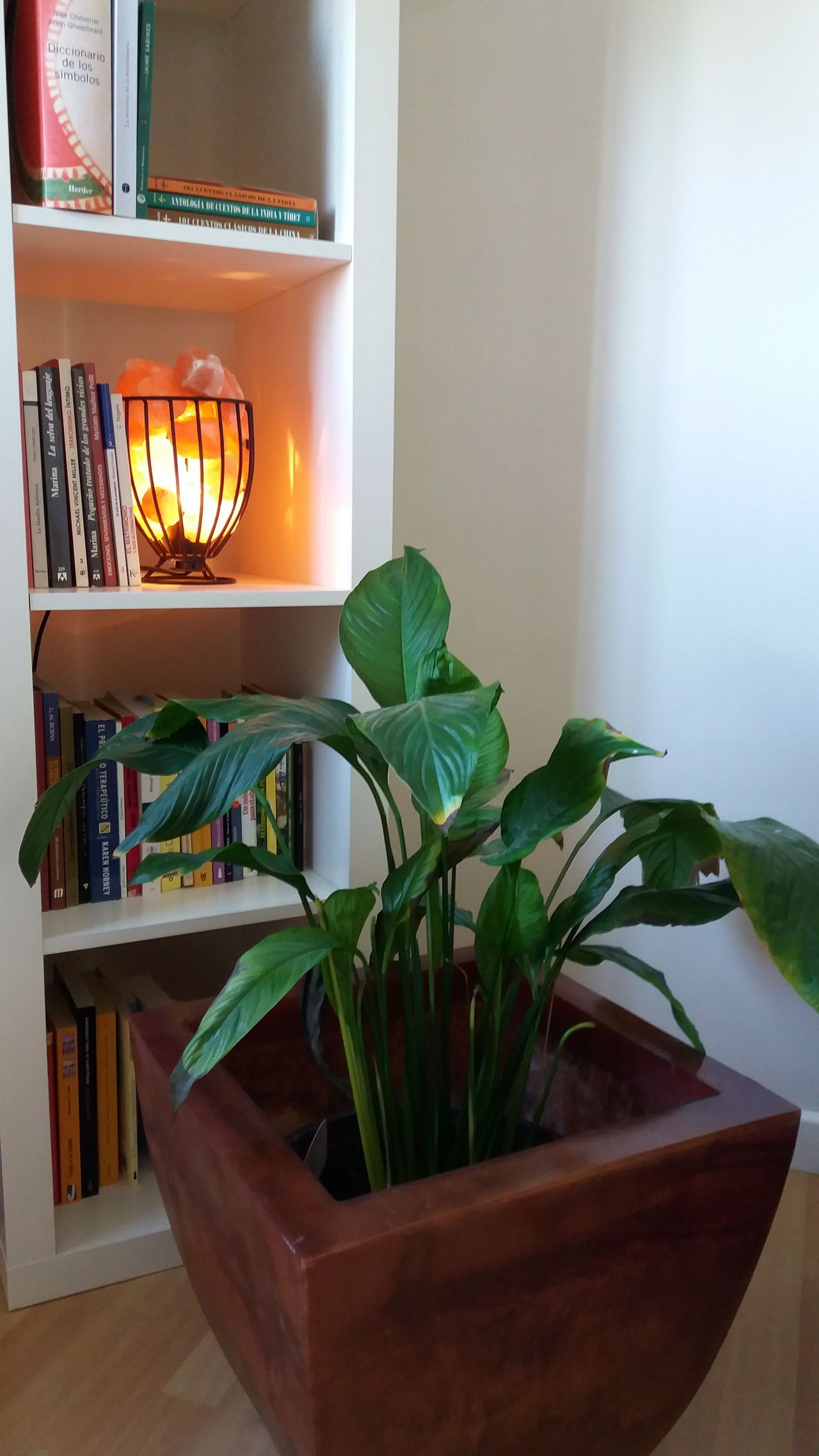 Erika Alejandra Ramírez Díaz-10