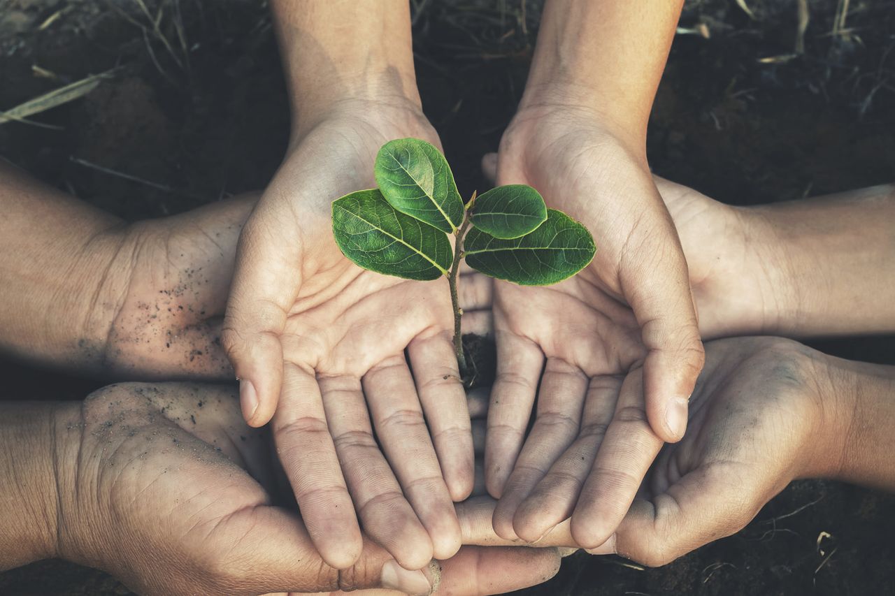 Agnieszka Barcicka-1