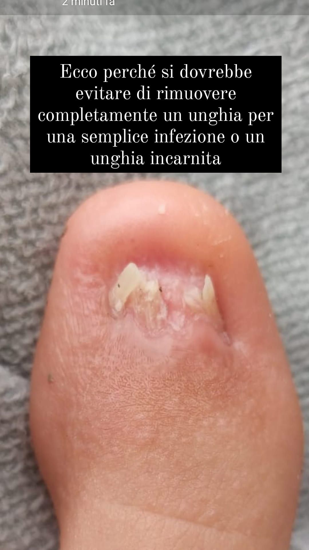 Kassandra Nicolosi-307