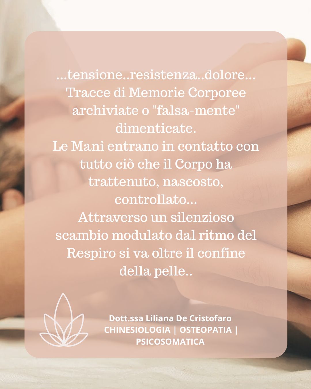 Liliana De Cristofaro-2