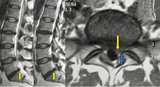 Alessandra Isidori-10