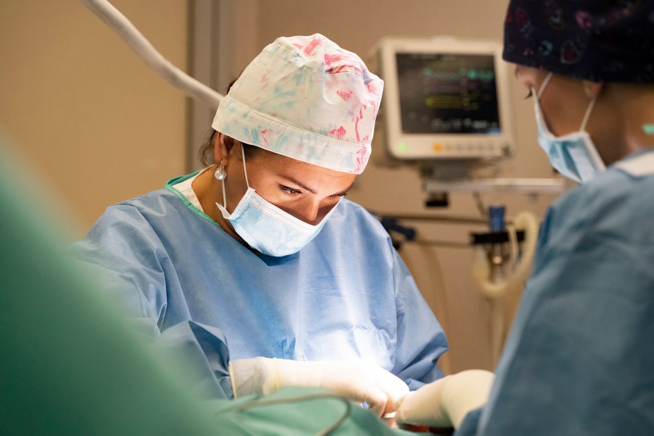 Katarzyna Ostrowska-Clark-7