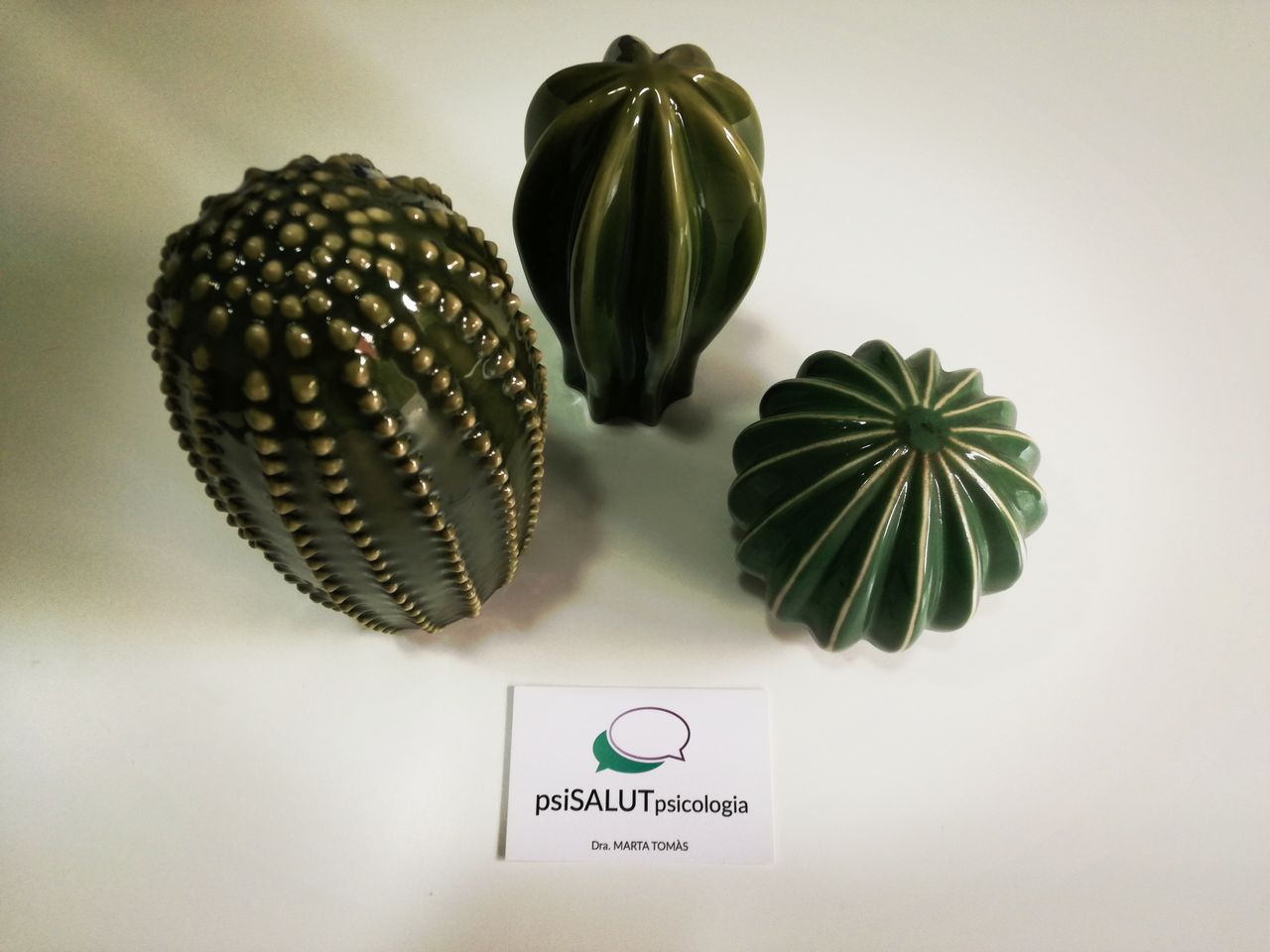 Marta Tomàs Marginet-5